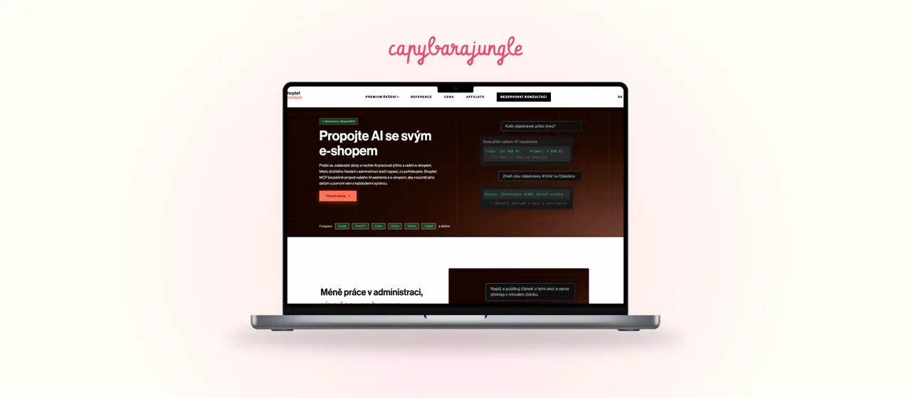 MCP server: e-shop připojený do AI asistenta